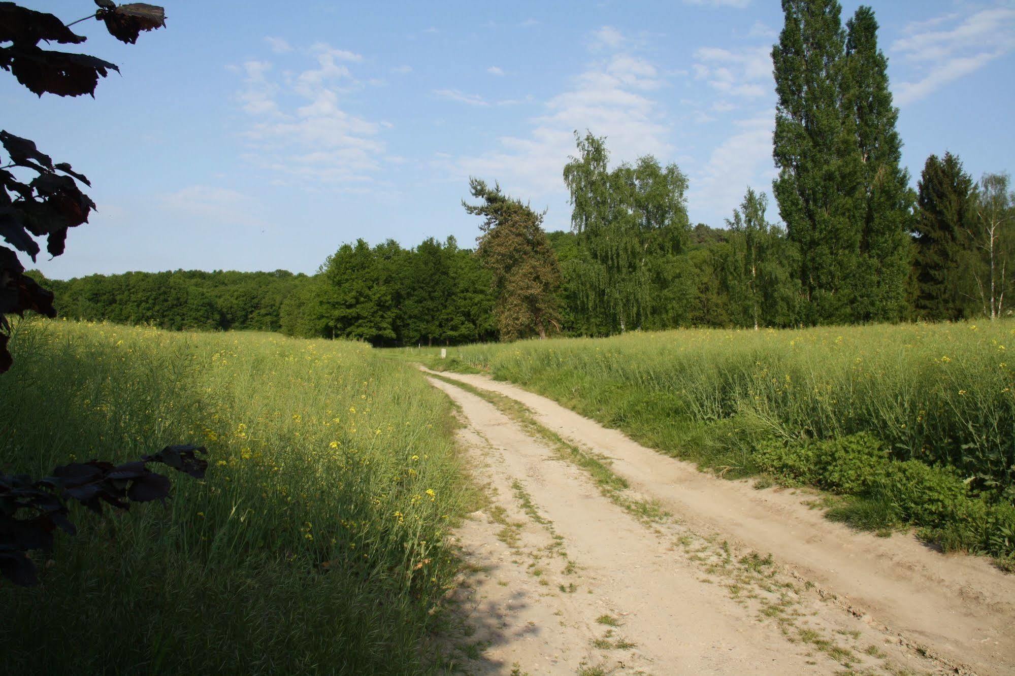 La Raimbaudiere Bed & Breakfast Guigneville-sur-Essonne Exterior photo